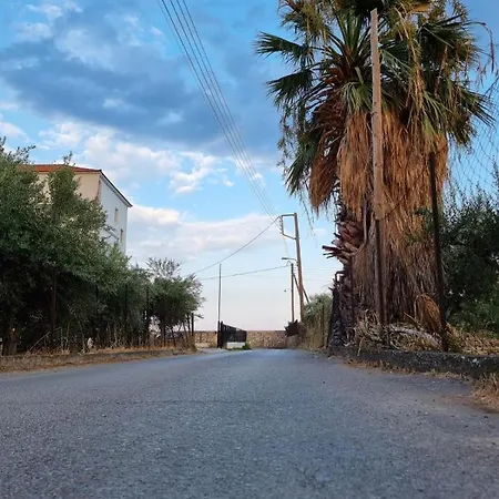 Thassa No4 Leonídion